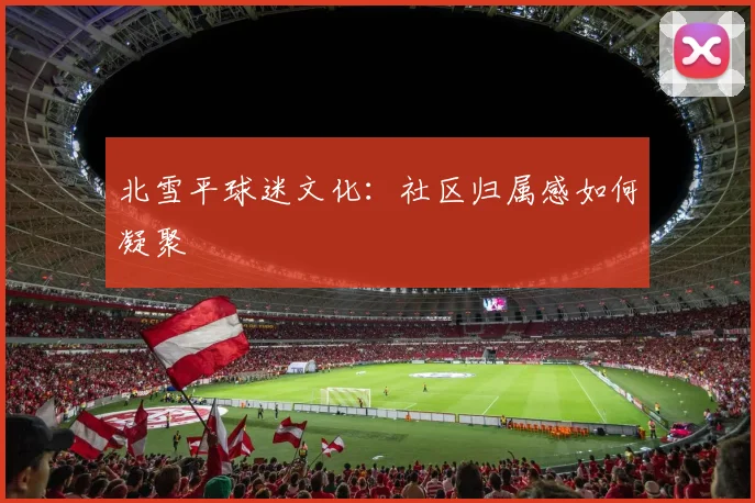 北雪平球迷文化：社区归属感如何凝聚