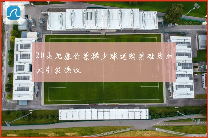 20美元廉价票稀少球迷购票难度加大引发热议